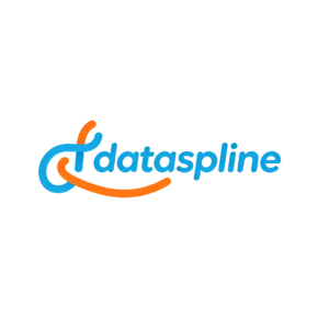 dataspline.shop